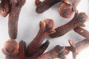 Cloves_p1160011